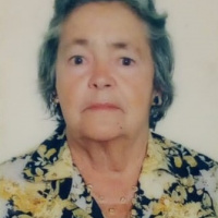 Foto Margarida de Faria Fernandes